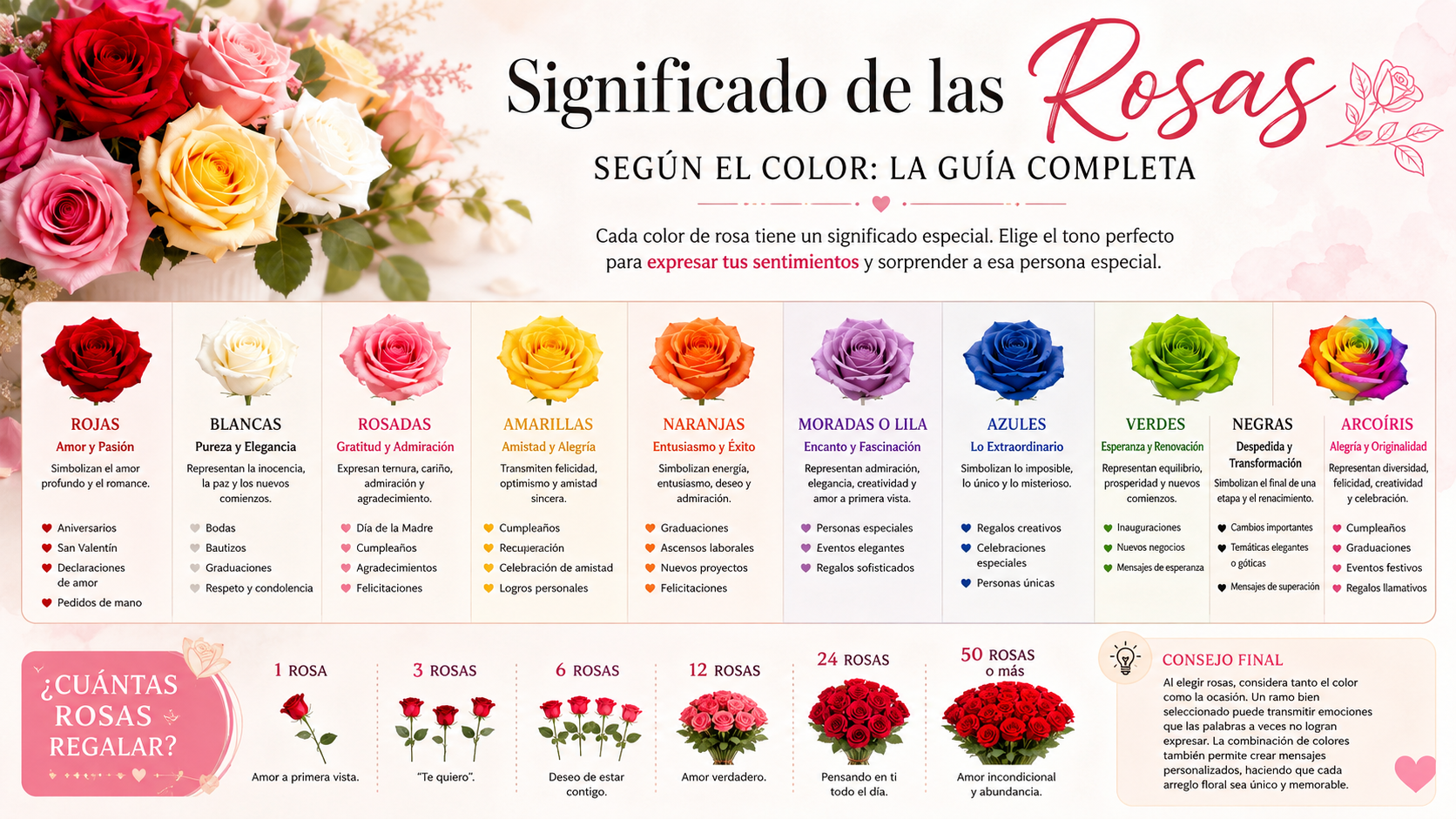 Significado de las Rosas según el Color: la Guía Completa