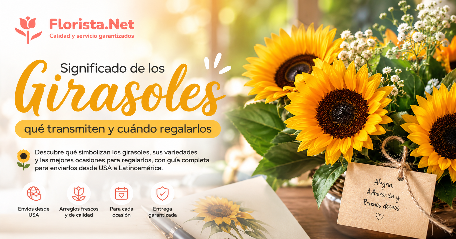 Significado de los girasoles: qué transmiten y cuándo regalarlos