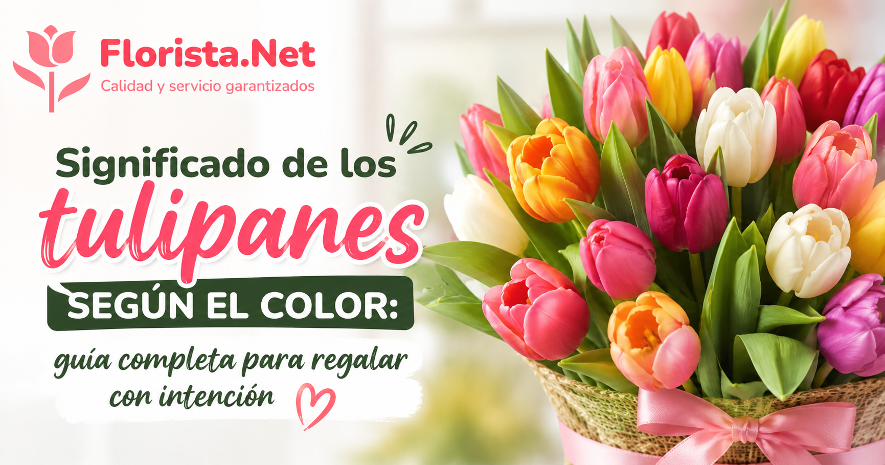 Significado de los tulipanes según el color: guía completa para regalar con intención