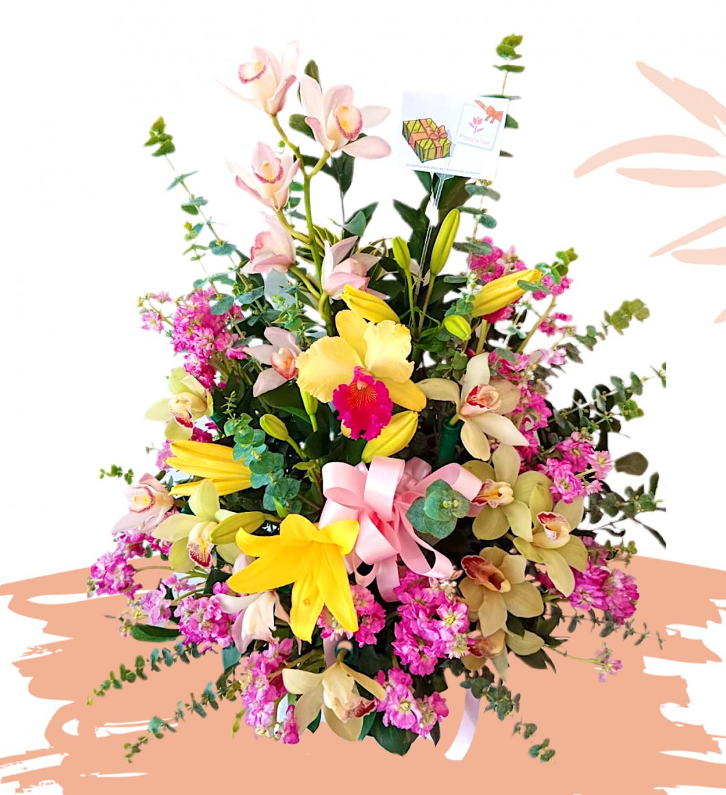 -arreglo-en-variedad-de-orquideas_1641949914424.jpeg