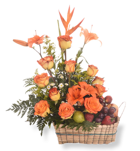 base-canasta-de-frutas_1000_903.jpg