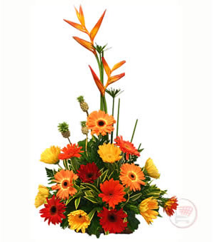 gerberas.jpg