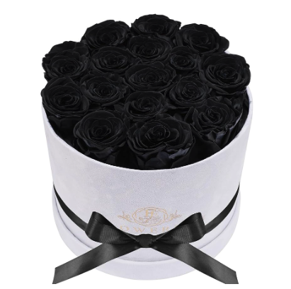 -premier-black-17_1757102374507.png