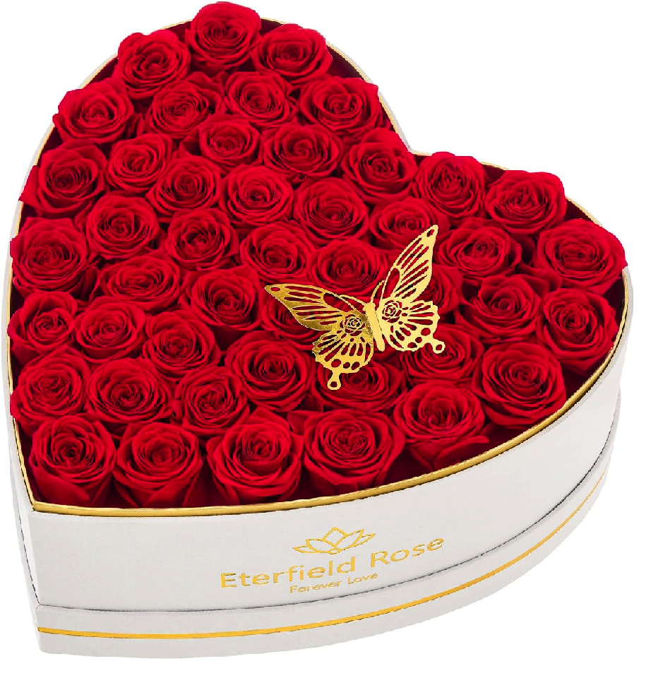 -preserved-47-red-roses-_1771613278607.png