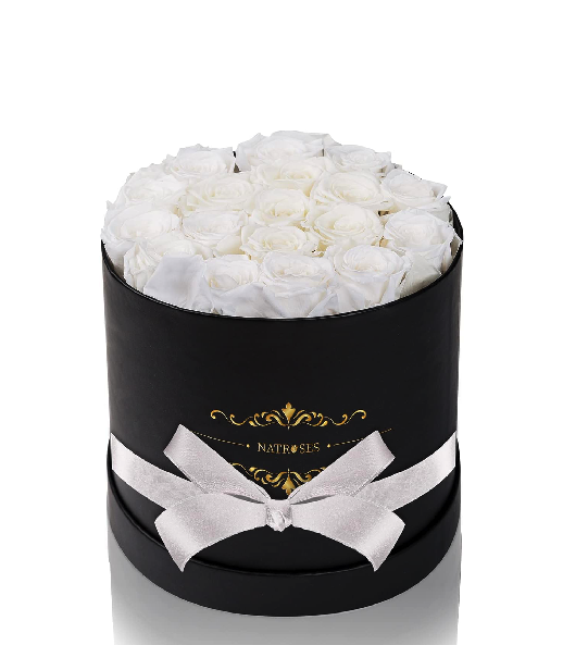 -preserved-white-roses-18_1743100950279.png
