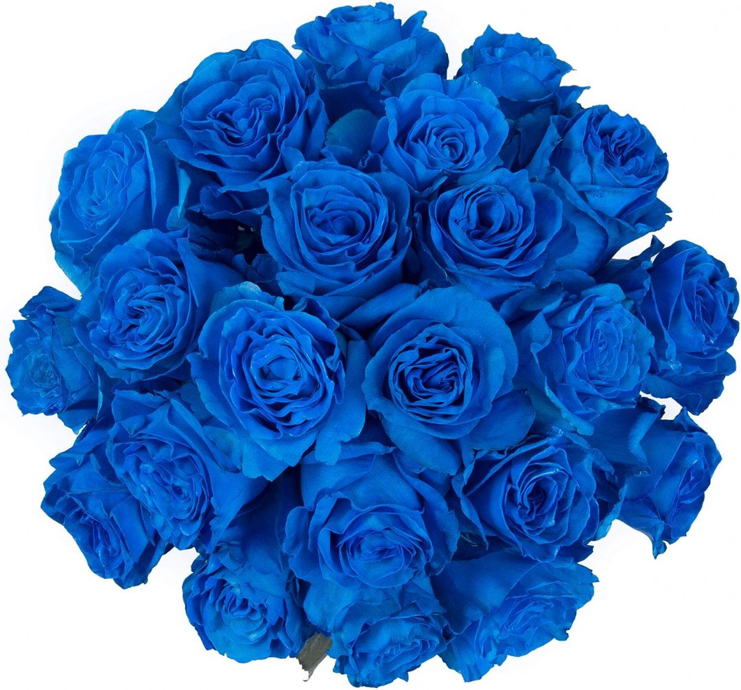 12-roses-only-bouquet_1690913241757.jpg