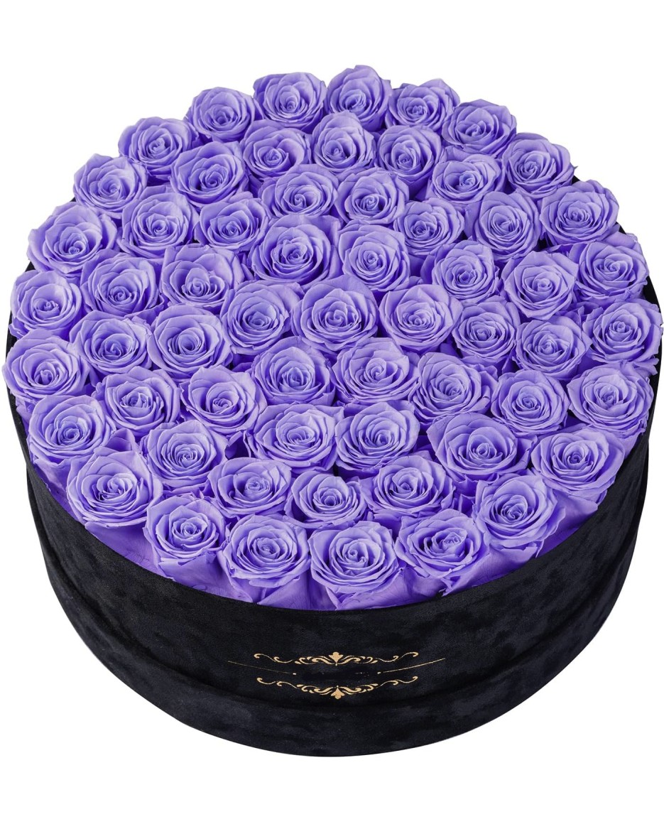 50-magnificent--pink-roses_1781048952814.jpg