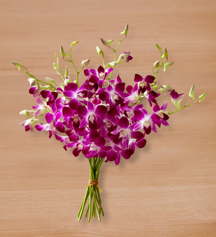 _10_stems_bouquet_only404693100000.jpg_1704893790281.jpg