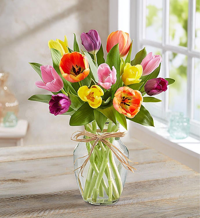 _15_stems808042100000.jpg_1709323057611.jpg