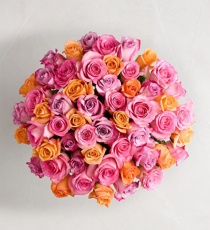 _54_stems527707100000.jpg_1777672281304.jpg