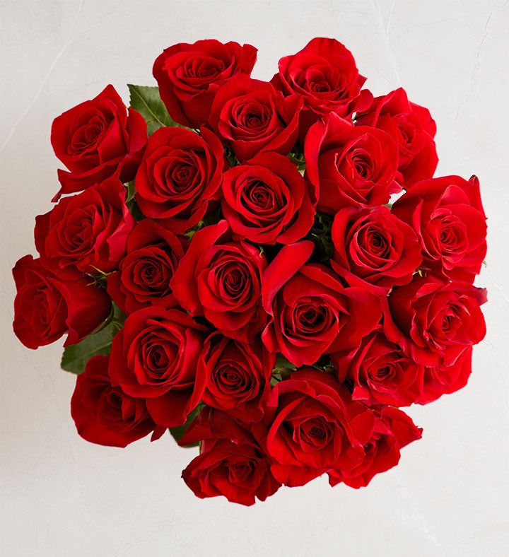 _bouquet_only170916100000.jpg_1781195655308.jpg