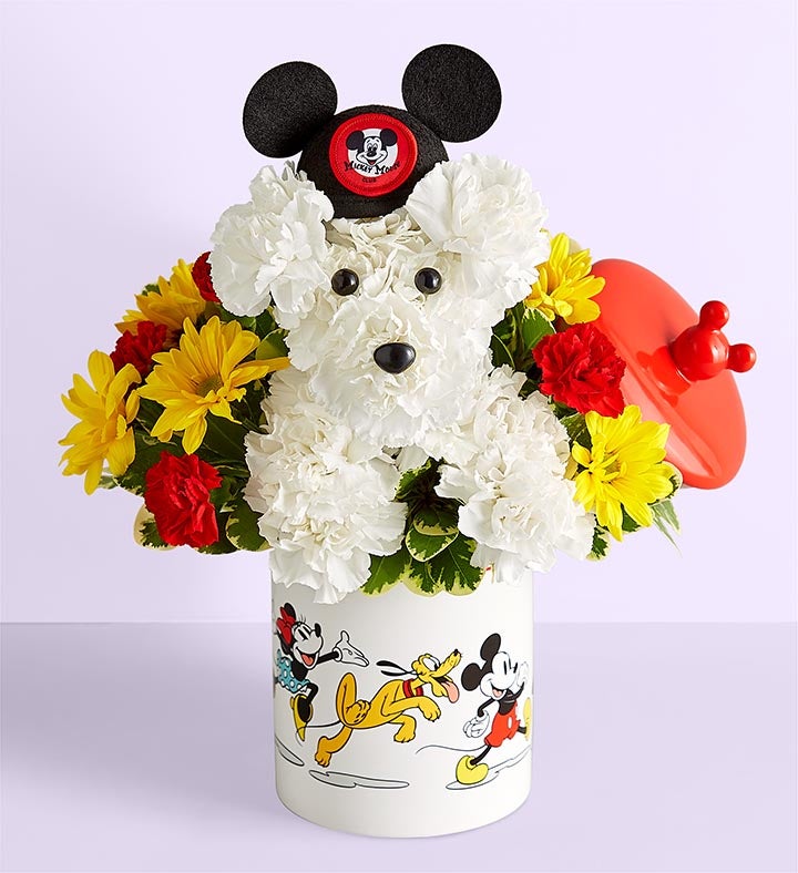 _disney_mickey_mouse_and_friends_cookie_jar__adogable306140100000.jpg_1773701226134.jpg