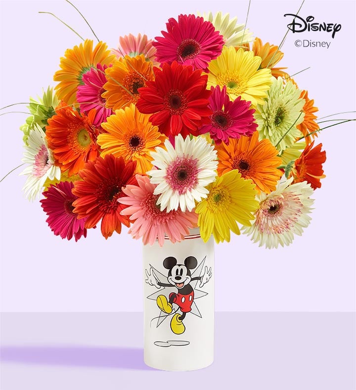 _disney_mickey_mouse_vase769281100000.jpg_1768249299324.jpg