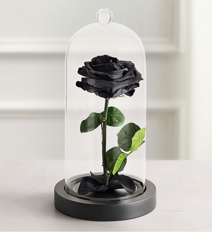 _enchanted_beauty_black171539100000.jpg_1761172585343.jpg