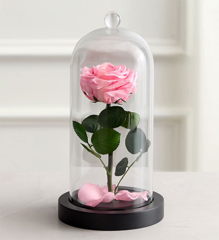 _enchanted_beauty_by_magnificent_roses_pink213402100000.jpg_1740004391110.jpg