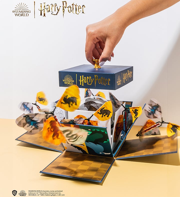 _harry_potter_hogwarts_explosion_box_w_chocolate_cake849723100000.jpg_1755791597182.jpg