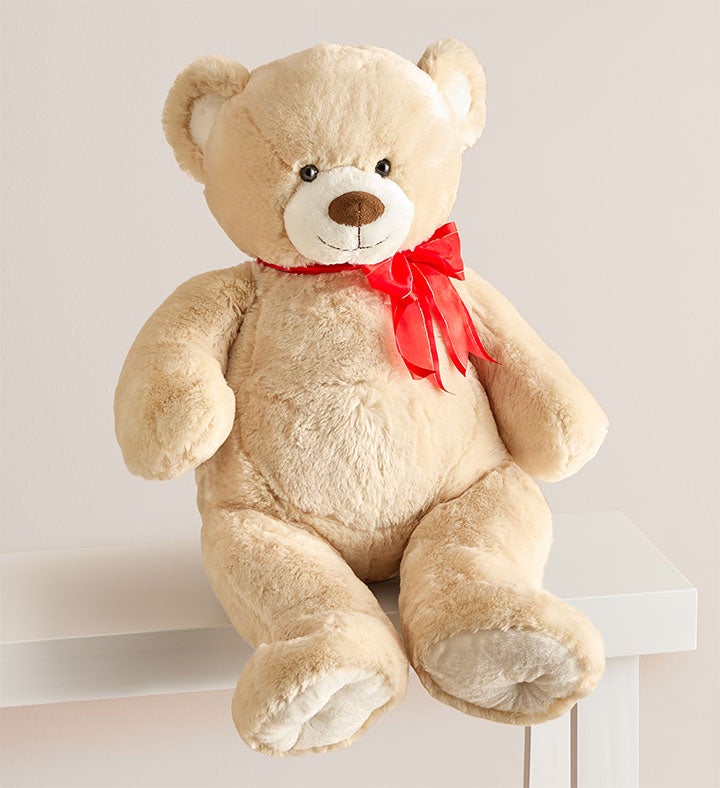 _lotsa_love_big_bear378462100000.jpg_1767391251822.jpg