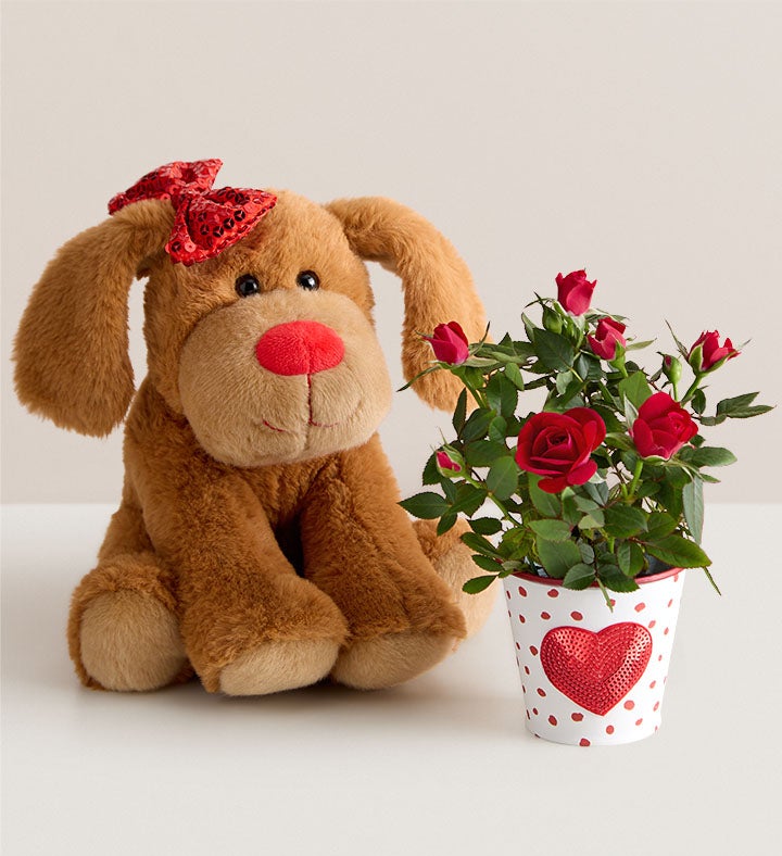 _lovable_pup501751100000.jpg_1767189917498.jpg