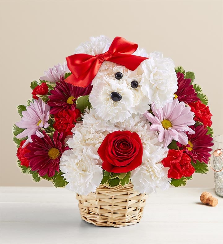 _love_pup347617100000.jpg_1713449632797.jpg