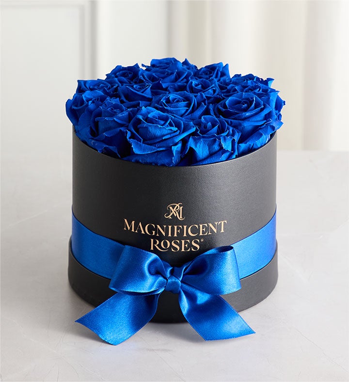 _magnificent_roses_classic_blue_velvet53265100000.jpg_1737475731629.jpg