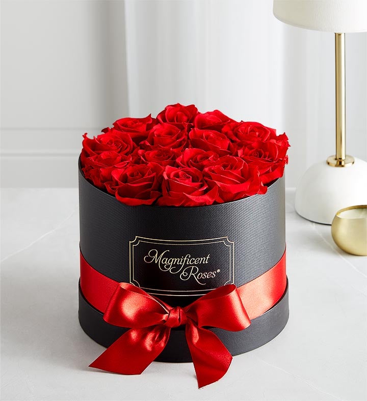 _magnificent_roses_classic_red165808100000.jpg_1736187834389.jpg