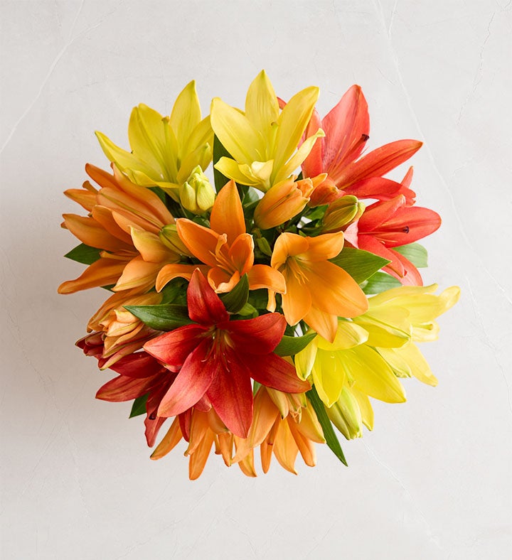 _single_bouquet_only364040100000.jpg_1789508343654.jpg