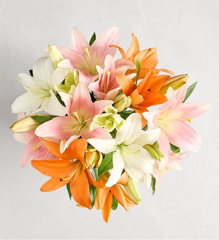 _single_bouquet_only888938100000.jpg_1754325391471.jpg