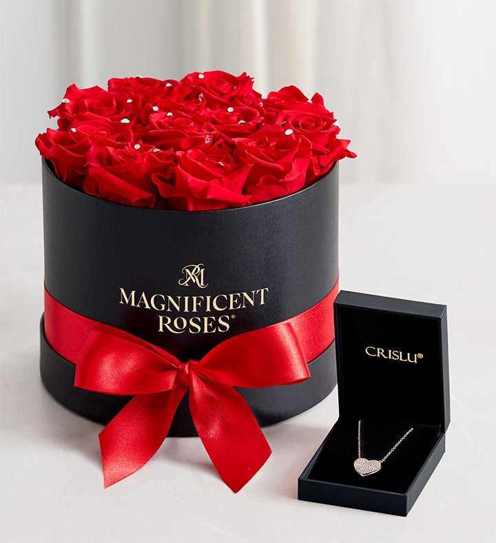 _sparkle_red_roses_1_dozen_and_jewelry503424100000.jpg_1736875606817.jpg