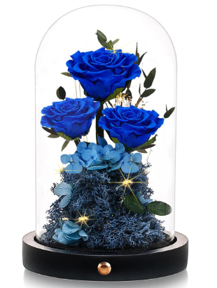 blue-roses_1765556657899.png