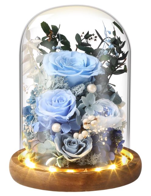 blue-roses_1787587583819.jpg