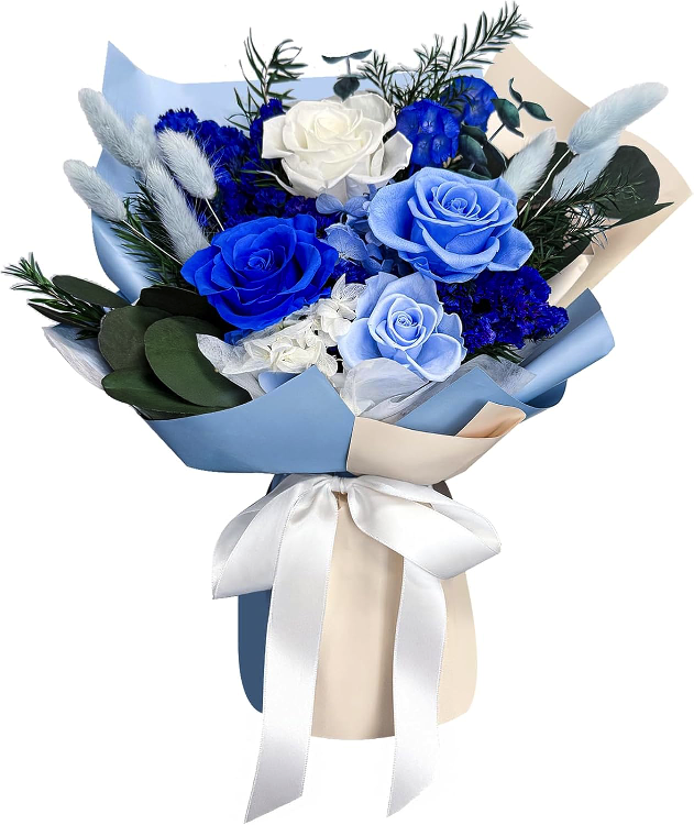 blue_1755128761695.jpg