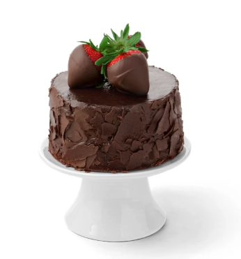 chocolate-cake_1783697530674.png