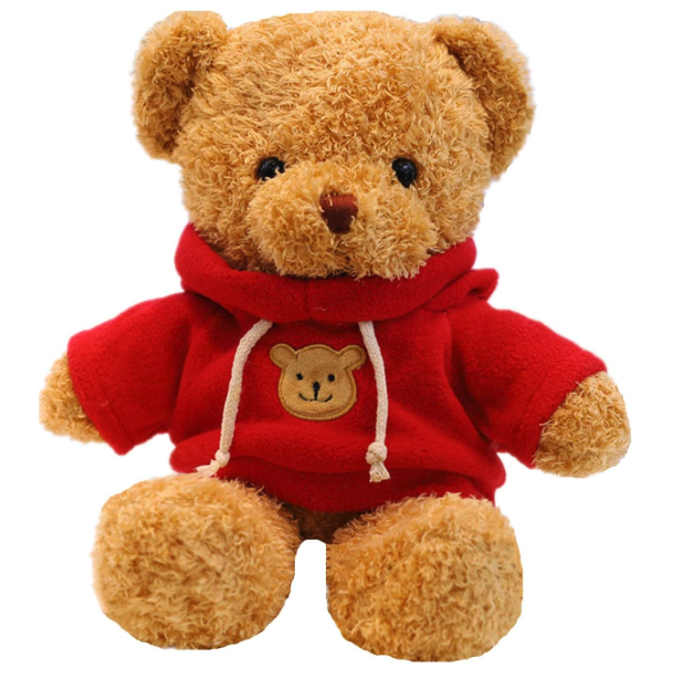 teddy-bear_1779452433729.png