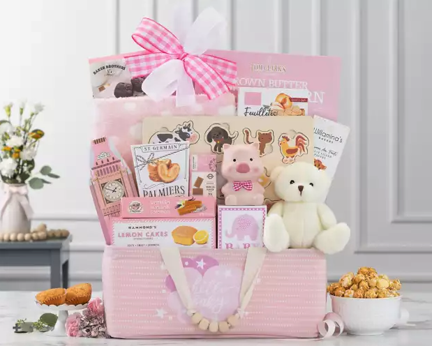 welcome-home-baby-girl_1753992890265.png
