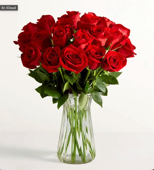 with-clear-vase_1770770987799.png