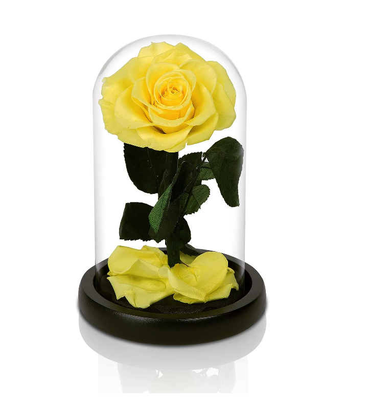 yellow-rose_1742401245729.png