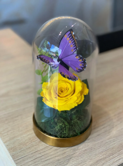 yellow-rose_1747766136429.png