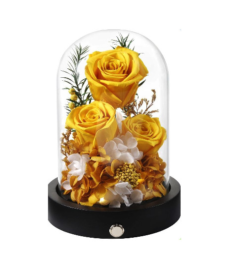 yellow-roses_1789597187545.png
