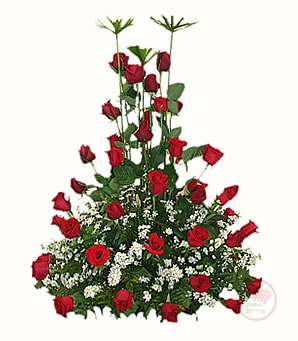 60rosas.jpg