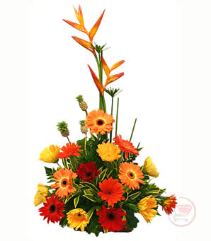 gerberas.jpg