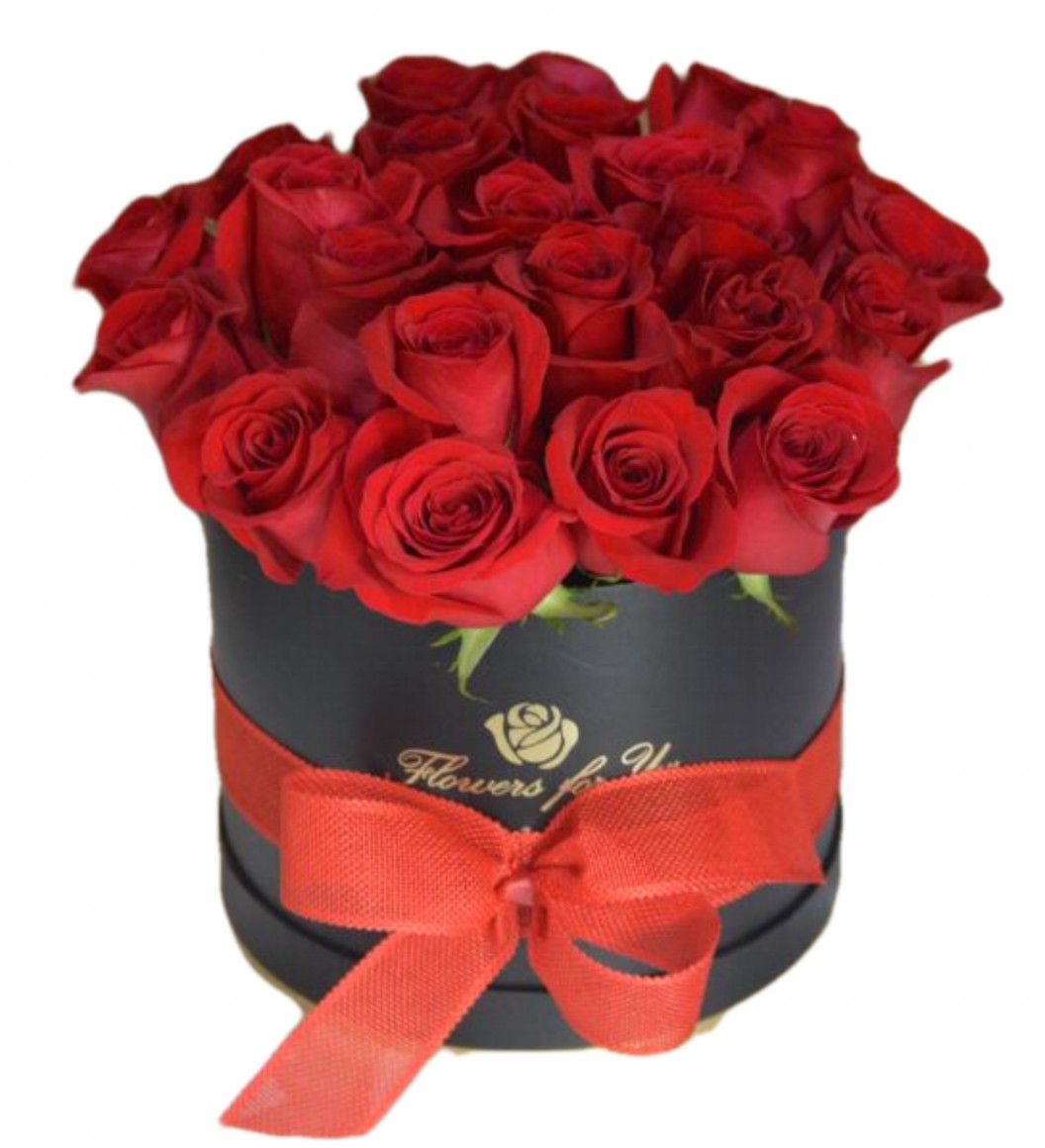 15-roses_1653349647639.jpeg