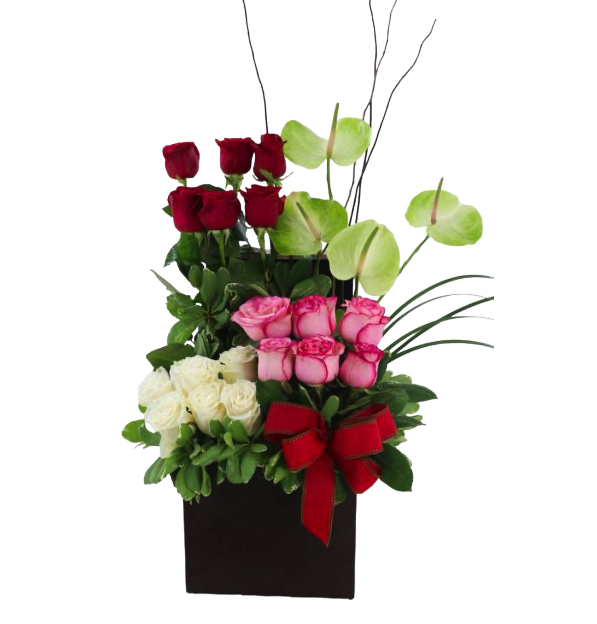 arrangement_1684855390559.jpg