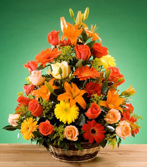 basket_1779546709657.jpg