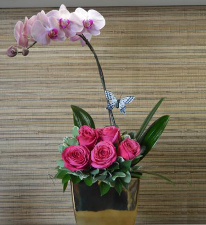 orchid-plant_1653344720154.jpg