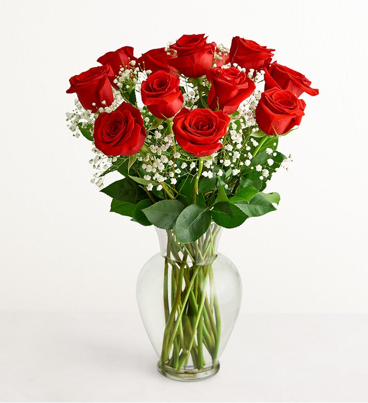 12-roses_1777765967983.jpg