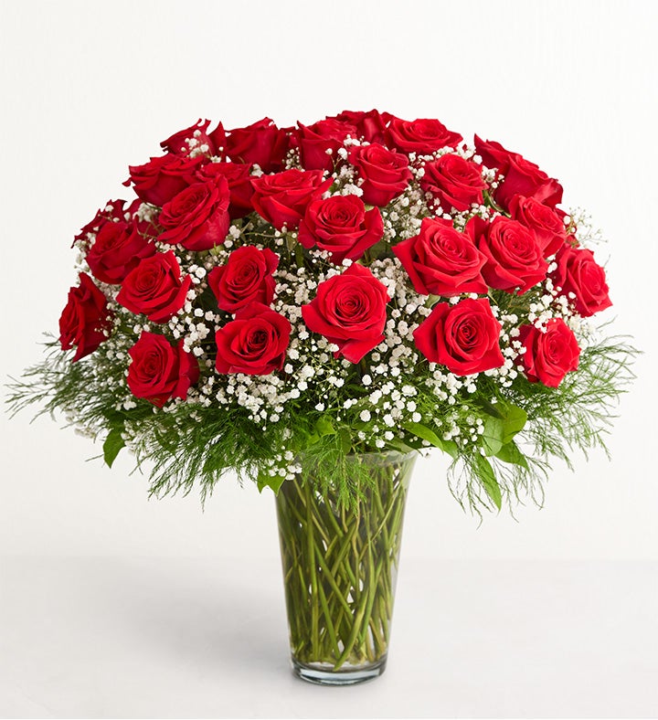 36-roses_1777766050802.jpg