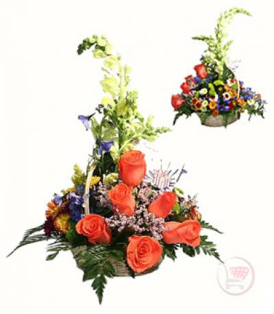 arrangement_1698964068548.jpg