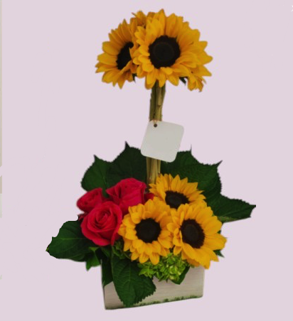 arrangement_1738279267125.jpg